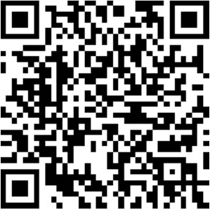 Bidi Bitcoin